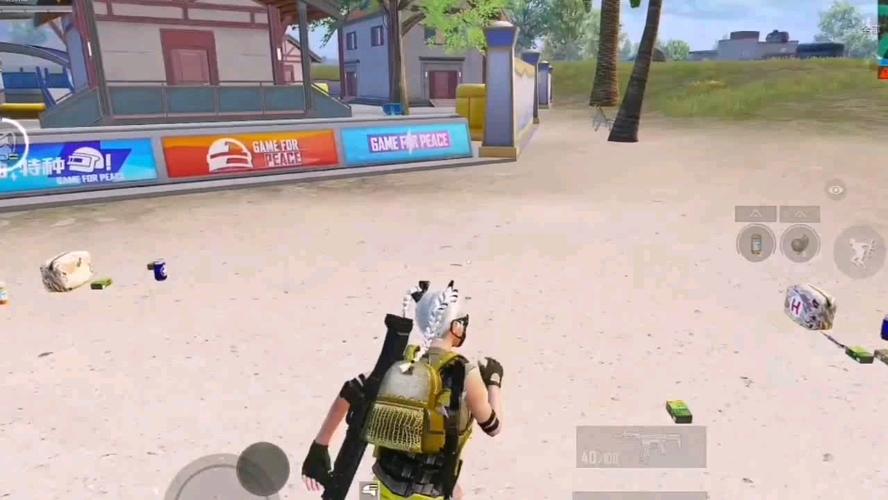 和平精英「青蛙直装」辅助,支持地铁